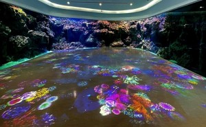 Christie ProAV solutions power new digital ocean experience at Xpark Aquarium