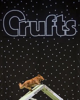 S+H supplies LED starcloth for ‘Crufts’