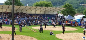 Wharfedale Pro ensures sound coverage at popular Swiss sporting event