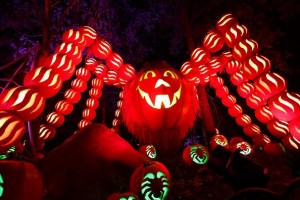 Elation fixtures illuminate Dollywood’s “Great Pumpkin LumiNights”