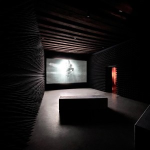 Fullwhite-Leinwand von AV Stumpfls auf der Biennale di Venezia im Einsatz